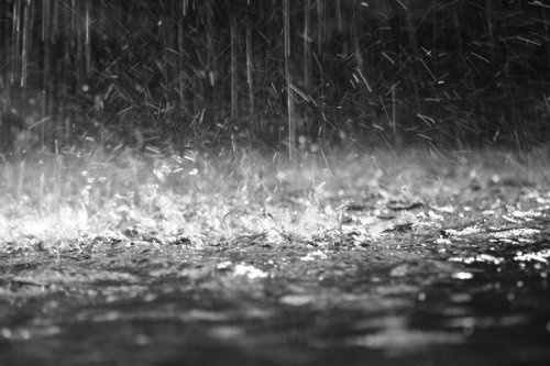 3 Jours De Prière Pour La Pluie Riposte Catholique - 